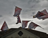 IMG_7730